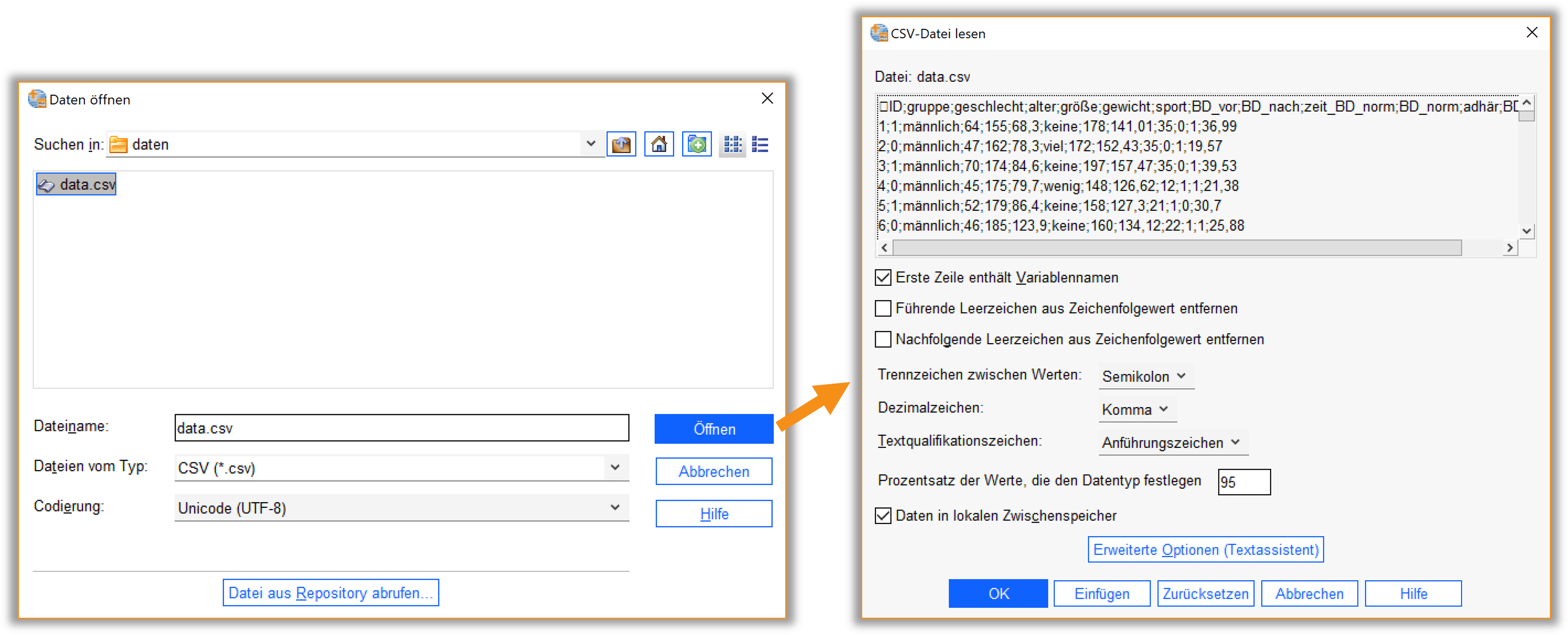 spss_data_csv SPSS Dialogfenster zum Laden einer .csv Datei. Details im Text.