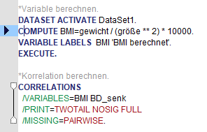 Beispielhafter Ausschnitt einer SPSS Syntax.